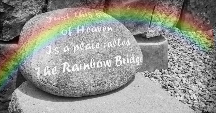 Rainbow Bridge Remembrance Day August 28th